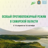 С 15 апреля по 15 октября в Самарской области устанавливается особый противопожарный режим.