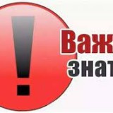 Коррупция – актуальная проблема современности.