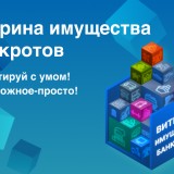 Компания «Коммерсантъ КАРТОТЕКА» совместно с ФНС России запустила новый проект «Витрина имущества банкротов» (ВИБ).