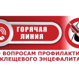 Специалисты Управления Роспотребнадзора по Самарской области совместно с ФБУЗ «Центр гигиены и эпидемиологии в Самарской области» проводят «горячую линию», посвящённую профилактики клещевого вирусного энцефалита