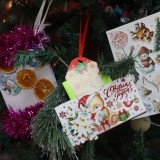 В Кировском районе стартовала 