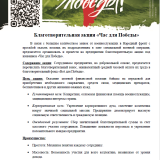 Благотворительная акция «Час для Победы»