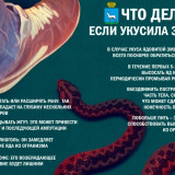 Осторожно, змеи! Как обезопасить себя на природе?