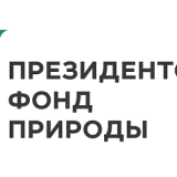 Семинар «Гранты Президента Российской Федерации на реализацию экологических и природоохранных проектов»
