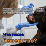 Внимание, жители Кировского района!