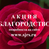 В Самарской области стартовала XXIX областная общественная Акция «Благородство»