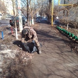 1 апреля в Кировском районе стартует месячник по благоустройству, озеленению  и улучшению внешнего облика