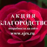 В Самарской губернии стартовала XXVI областная общественная акция «Благородство»!