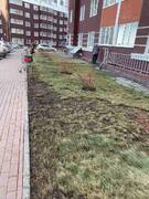 В Кировском районе продолжается месячник по благоустройству, озеленению, улучшению внешнего облика. #1
