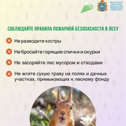 С 15 апреля по 15 октября в Самарской области устанавливается особый противопожарный режим. #2