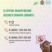 С 15 апреля по 15 октября в Самарской области устанавливается особый противопожарный режим. #6