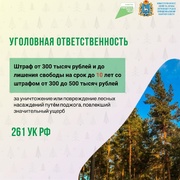 С 15 апреля по 15 октября в Самарской области устанавливается особый противопожарный режим. #5