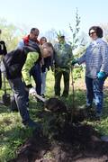 В рамках месячника по благоустройству сотрудники Администрации  района приняли участие в среднике на территории рядом с Самарским металлургическим заводом. #6