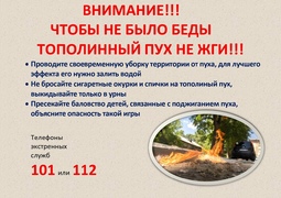 Напоминаем жителям Кировского района о мерах безопасности в сезон тополиного пуха #1