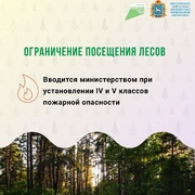 С 15 апреля по 15 октября в Самарской области устанавливается особый противопожарный режим. #3