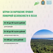 С 15 апреля по 15 октября в Самарской области устанавливается особый противопожарный режим. #6