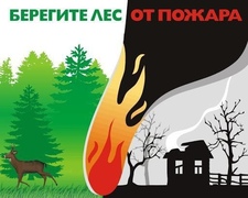 Напоминаем о необходимости быть осторожным с огнем и соблюдать меры противопожарной безопасности в лесу и на дачных участках. #1