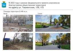 В Кировском районе наградили волонтеров федерального онлайн-голосования! #4