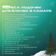 Адреса, где в Самаре можно будет сдать новогоднюю елку на переработку! #1