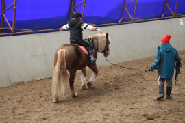  Сегодня мы хотим рассказать об уникальном реабилитационном центре «Иппотерапия» расположенном в Кировском районе!  #3