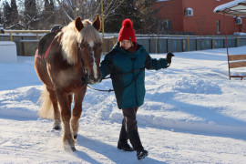  Сегодня мы хотим рассказать об уникальном реабилитационном центре «Иппотерапия» расположенном в Кировском районе!  #6
