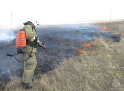 Пал травы — это угроза жизни и имуществу! #1
