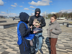 Волонтеры Кировского района вновь активно помогают жителям сделать свой выбор и внести вклад в благоустройство нашего города! #1