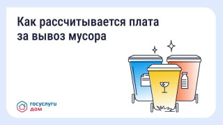 Разная плата за вывоз мусора в соседних домах — это нормально #1
