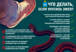 Осторожно, змеи! Как обезопасить себя на природе? #1