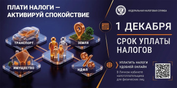 Оплатите налоги до 1 декабря! ⁣  #1