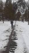 В Кировском районе борются с последствиями снегопада #9