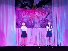  В доме культуры посёлка Зубчаниновка состоялась концертная программа "Великая гордость России", посвящённая Дню защитника Отечества #1