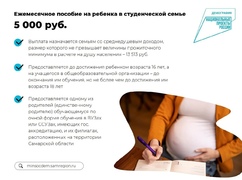 В Самарской области действует комплексная система мер поддержки семей при рождении детей #3
