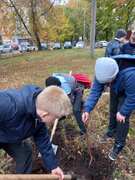В Кировском районе в честь выдающихся педагогов-наставников посадили яблони в школьных дворах #8