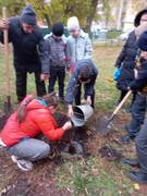 В Кировском районе в честь выдающихся педагогов-наставников посадили яблони в школьных дворах #9