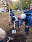 В Кировском районе в честь выдающихся педагогов-наставников посадили яблони в школьных дворах #10