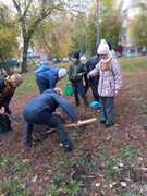 В Кировском районе в честь выдающихся педагогов-наставников посадили яблони в школьных дворах #12