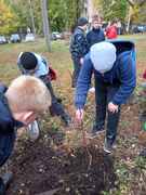 В Кировском районе в честь выдающихся педагогов-наставников посадили яблони в школьных дворах #19