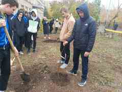 В Кировском районе в честь выдающихся педагогов-наставников посадили яблони в школьных дворах #14