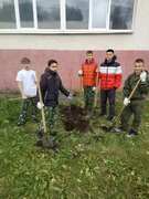 В Кировском районе в честь выдающихся педагогов-наставников посадили яблони в школьных дворах #21