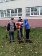 В Кировском районе в честь выдающихся педагогов-наставников посадили яблони в школьных дворах #23