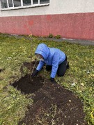 В Кировском районе в честь выдающихся педагогов-наставников посадили яблони в школьных дворах #24