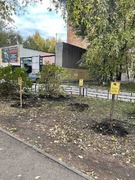 В Кировском районе в честь выдающихся педагогов-наставников посадили яблони в школьных дворах #31