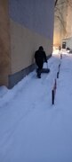В Кировском районе продолжается очистка придомовых территорий и внутриквартальных дорог от снега и наледи #6