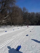 В Кировском районе прошёл районный этап соревнований школьных спортивных лиг по лыжным гонкам #6